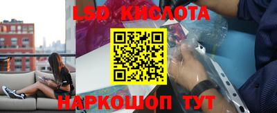 тгк Новодвинск