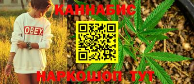 тгк Новодвинск