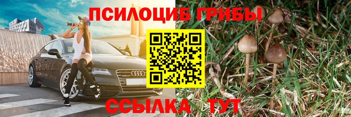 Вятские Поляны  Галлюциногенные грибы мицелий  Вход с VPN 