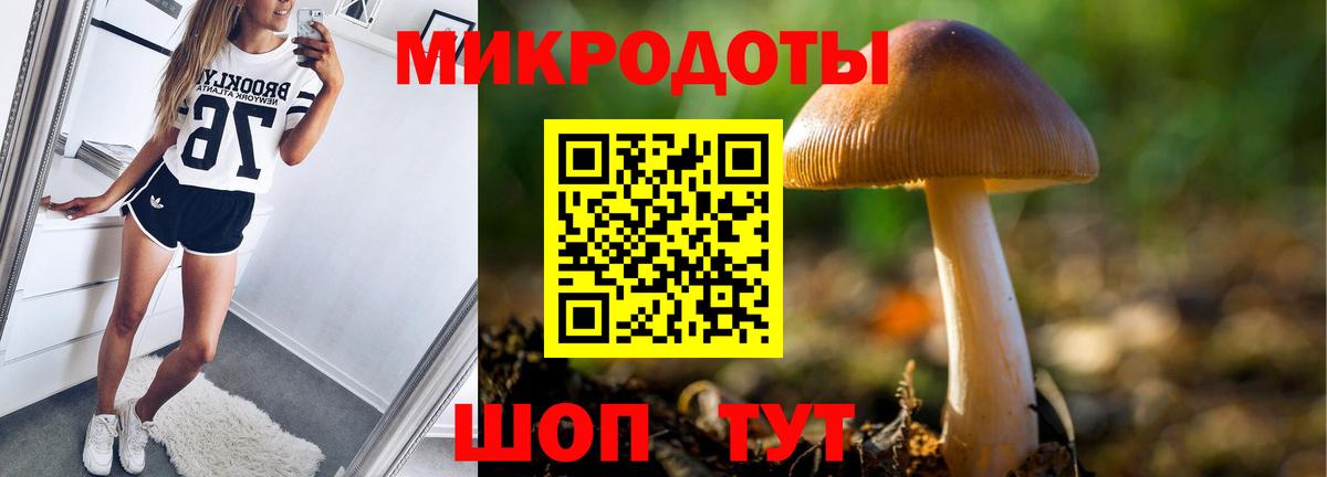 Псилоцибиновые грибы Psilocybe Вятские Поляны